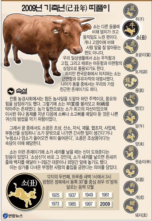 신년기획/소띠풀이, 소띠들의 새해소망